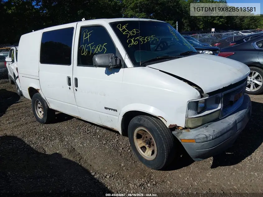 2002 GMC Safari Sl VIN: 1GTDM19X82B513581 Lot: 45385067