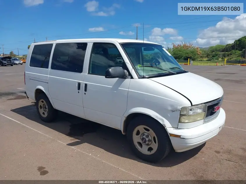 2003 GMC Safari VIN: 1GKDM19X63B501080 Lot: 45336371