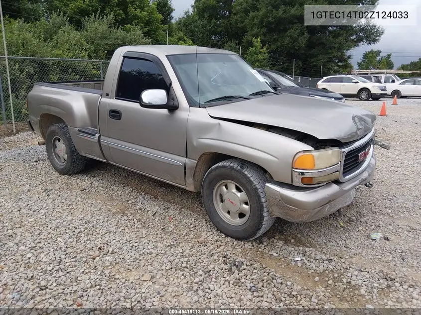 2002 GMC Sierra 1500 Sle VIN: 1GTEC14T02Z124033 Lot: 45419113