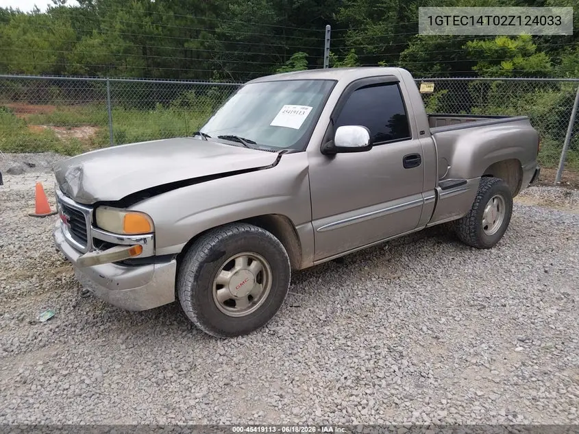 2002 GMC Sierra 1500 Sle VIN: 1GTEC14T02Z124033 Lot: 45419113
