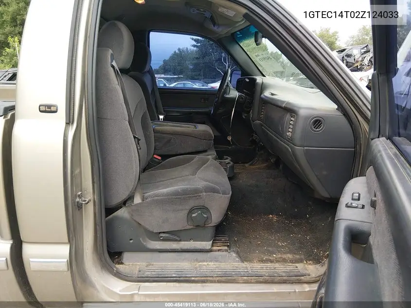 2002 GMC Sierra 1500 Sle VIN: 1GTEC14T02Z124033 Lot: 45419113
