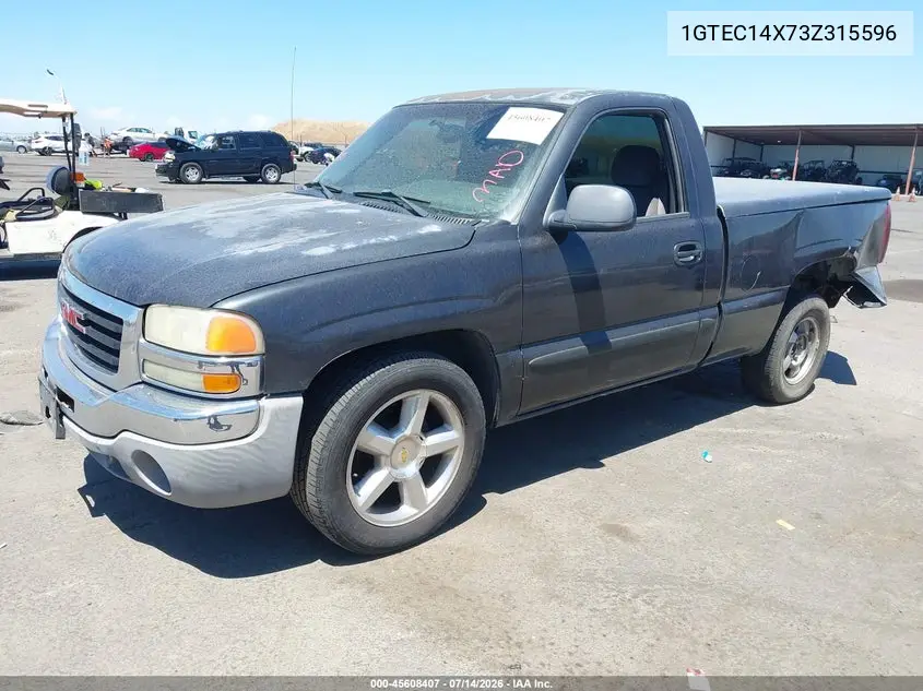 2003 GMC Sierra 1500 VIN: 1GTEC14X73Z315596 Lot: 45608407
