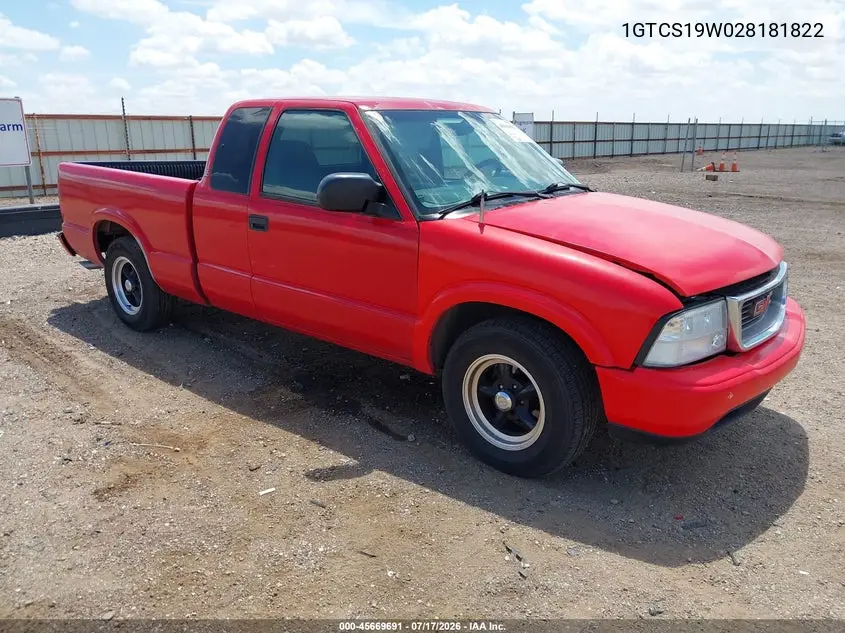 2002 GMC Sonoma Sls VIN: 1GTCS19W028181822 Lot: 45669691