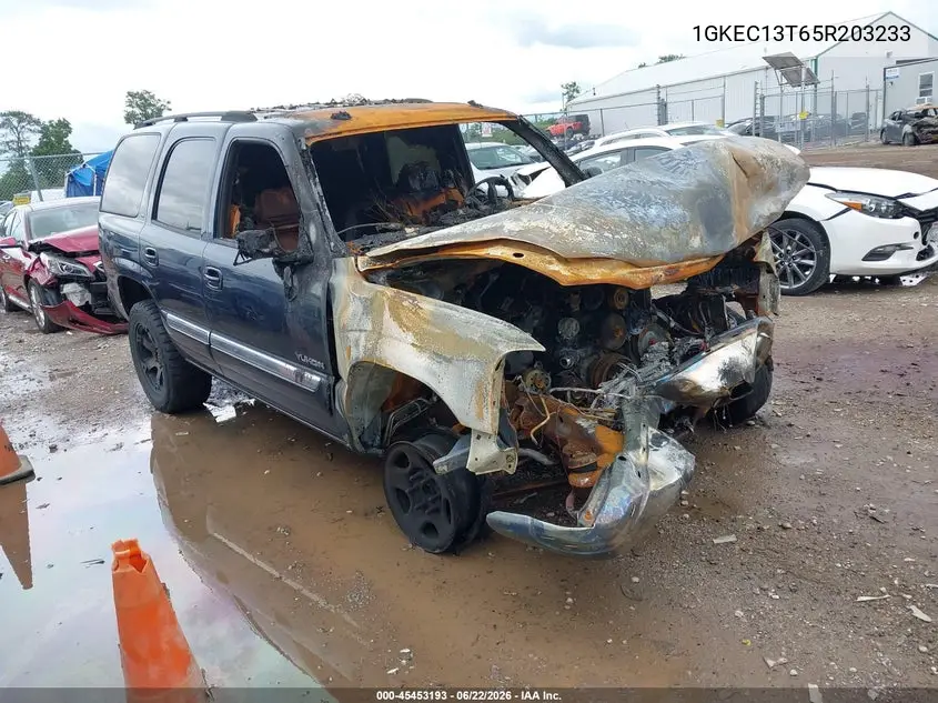 2005 GMC Yukon Slt VIN: 1GKEC13T65R203233 Lot: 45453193