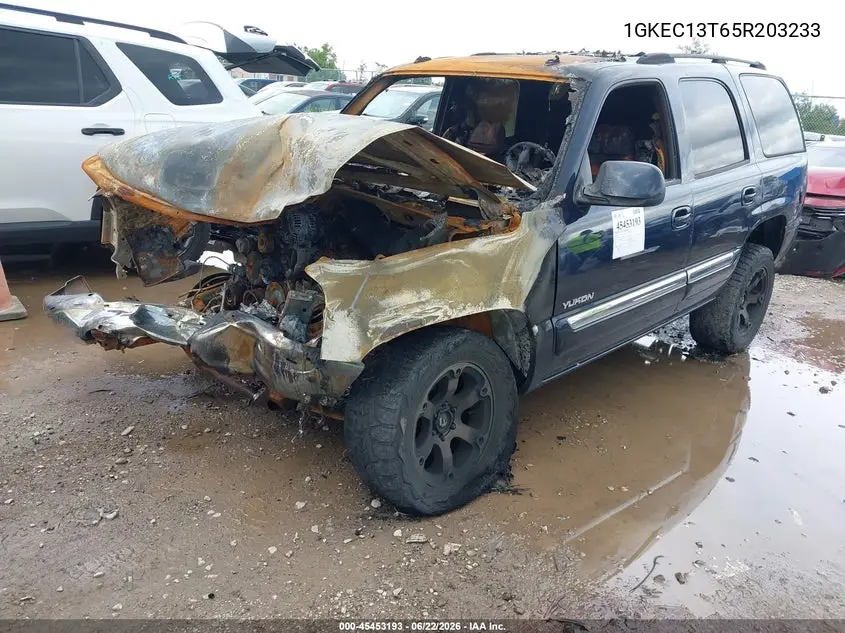 2005 GMC Yukon Slt VIN: 1GKEC13T65R203233 Lot: 45453193