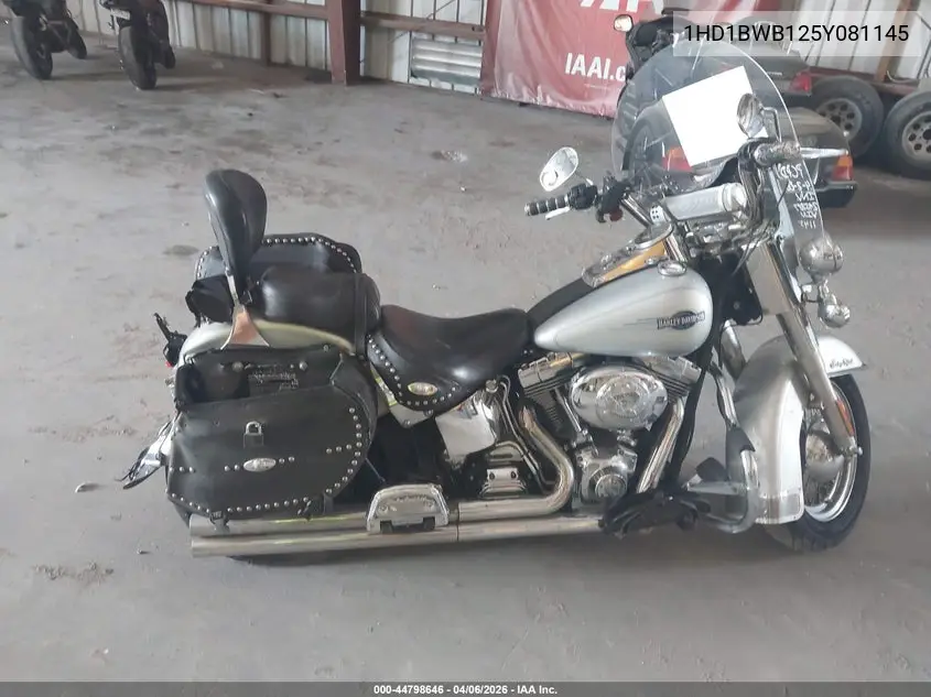2005 Harley-Davidson Flstci VIN: 1HD1BWB125Y081145 Lot: 44798646