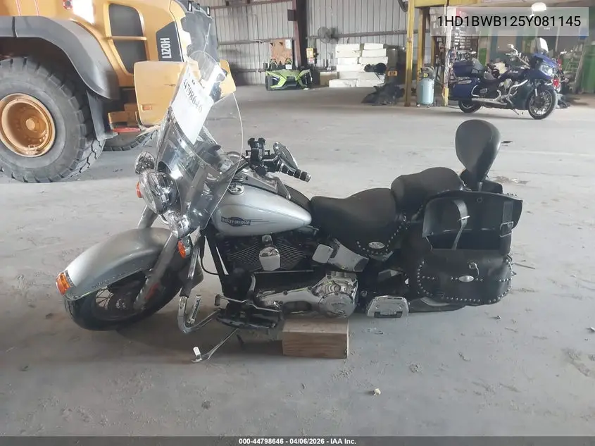 2005 Harley-Davidson Flstci VIN: 1HD1BWB125Y081145 Lot: 44798646