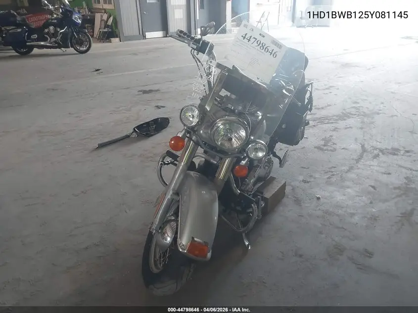 2005 Harley-Davidson Flstci VIN: 1HD1BWB125Y081145 Lot: 44798646