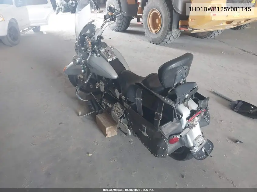 2005 Harley-Davidson Flstci VIN: 1HD1BWB125Y081145 Lot: 44798646