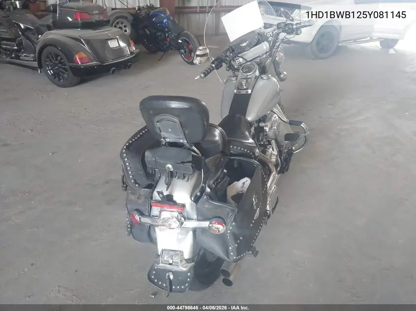 2005 Harley-Davidson Flstci VIN: 1HD1BWB125Y081145 Lot: 44798646