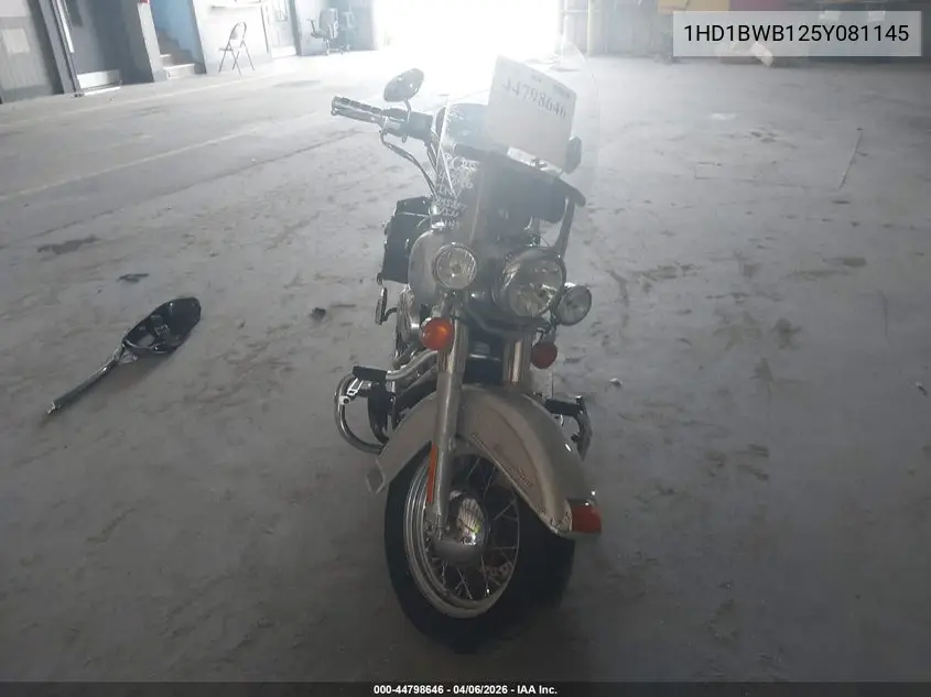 2005 Harley-Davidson Flstci VIN: 1HD1BWB125Y081145 Lot: 44798646