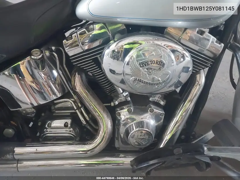 2005 Harley-Davidson Flstci VIN: 1HD1BWB125Y081145 Lot: 44798646
