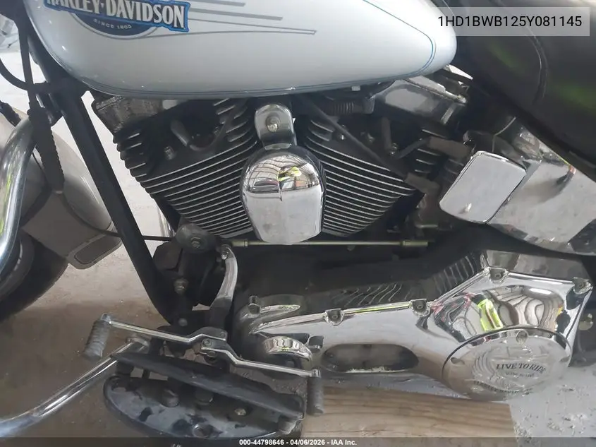 2005 Harley-Davidson Flstci VIN: 1HD1BWB125Y081145 Lot: 44798646