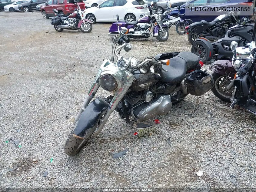 2016 Harley-Davidson Fld Switchback VIN: 1HD1GZM14GC309856 Lot: 45231119