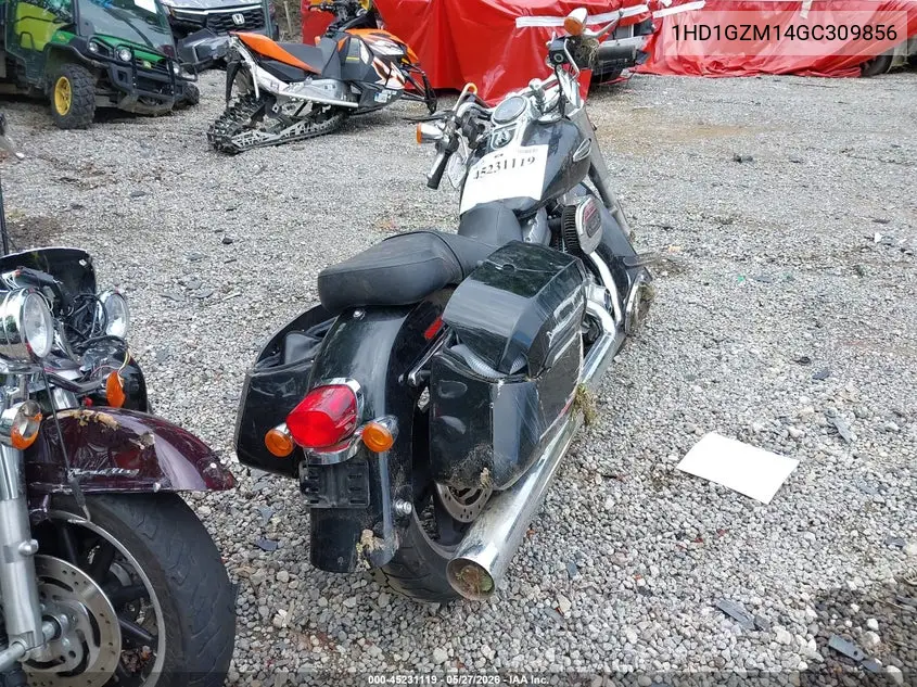 2016 Harley-Davidson Fld Switchback VIN: 1HD1GZM14GC309856 Lot: 45231119