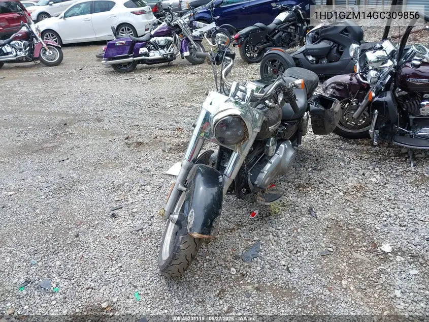 2016 Harley-Davidson Fld Switchback VIN: 1HD1GZM14GC309856 Lot: 45231119