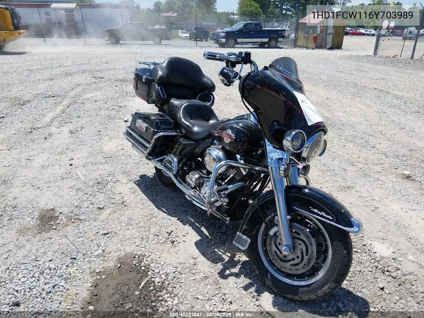 2006 Harley-Davidson Flhtcui VIN: 1HD1FCW116Y703989 Lot: 45223847
