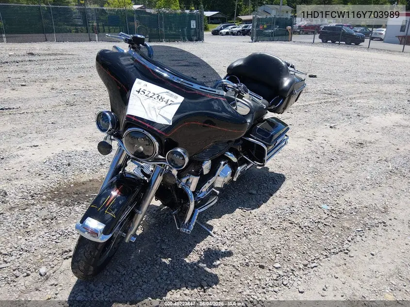 2006 Harley-Davidson Flhtcui VIN: 1HD1FCW116Y703989 Lot: 45223847