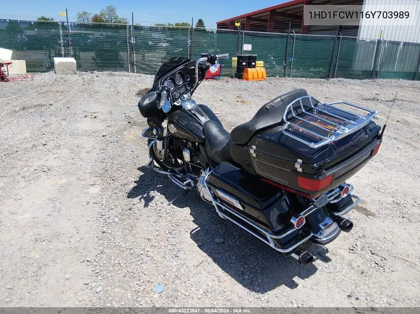 2006 Harley-Davidson Flhtcui VIN: 1HD1FCW116Y703989 Lot: 45223847