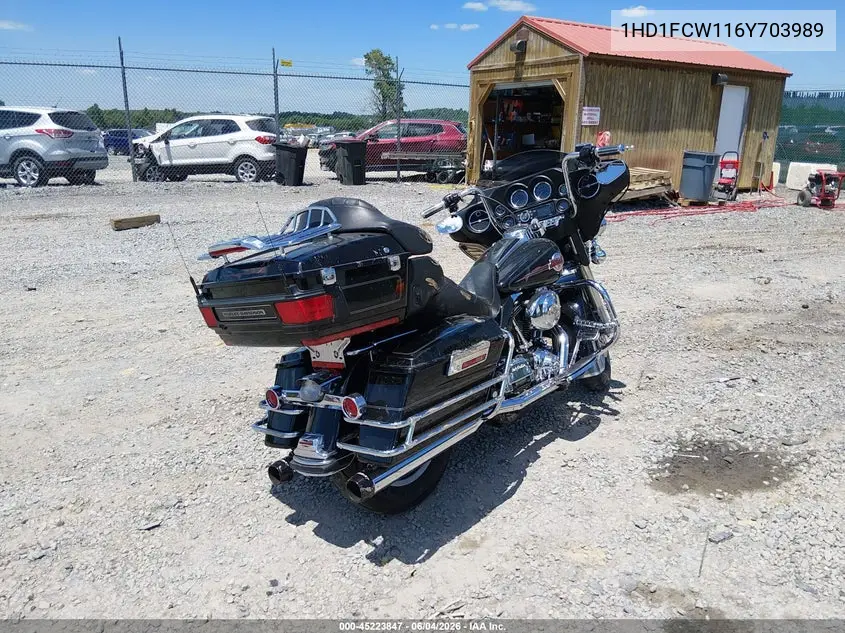 2006 Harley-Davidson Flhtcui VIN: 1HD1FCW116Y703989 Lot: 45223847