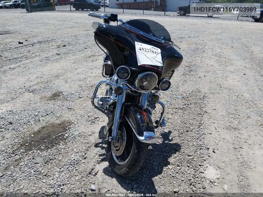 2006 Harley-Davidson Flhtcui VIN: 1HD1FCW116Y703989 Lot: 45223847