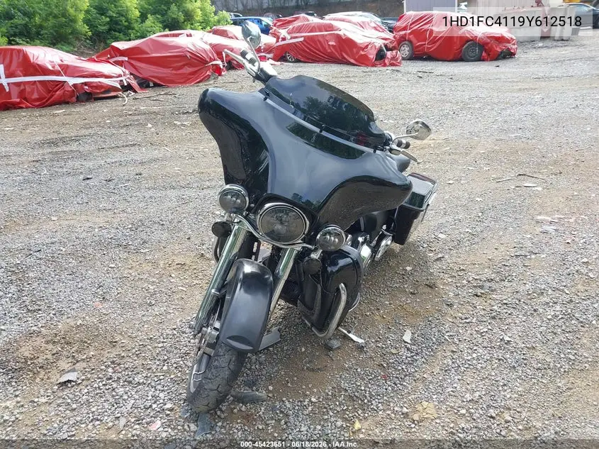 2009 Harley-Davidson Flhtcu VIN: 1HD1FC4119Y612518 Lot: 45423651