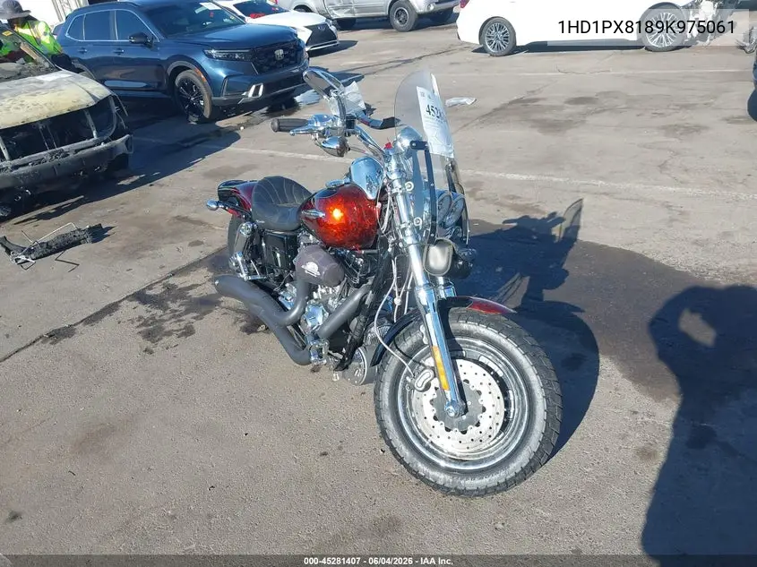 2009 Harley-Davidson Fxdfse VIN: 1HD1PX8189K975061 Lot: 45281407