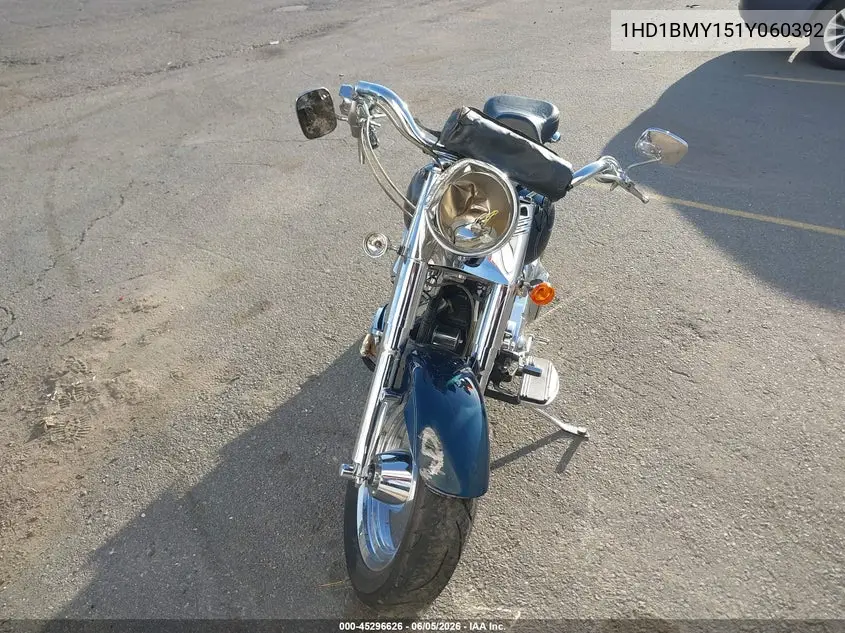 2001 Harley-Davidson Flstf VIN: 1HD1BMY151Y060392 Lot: 45296626