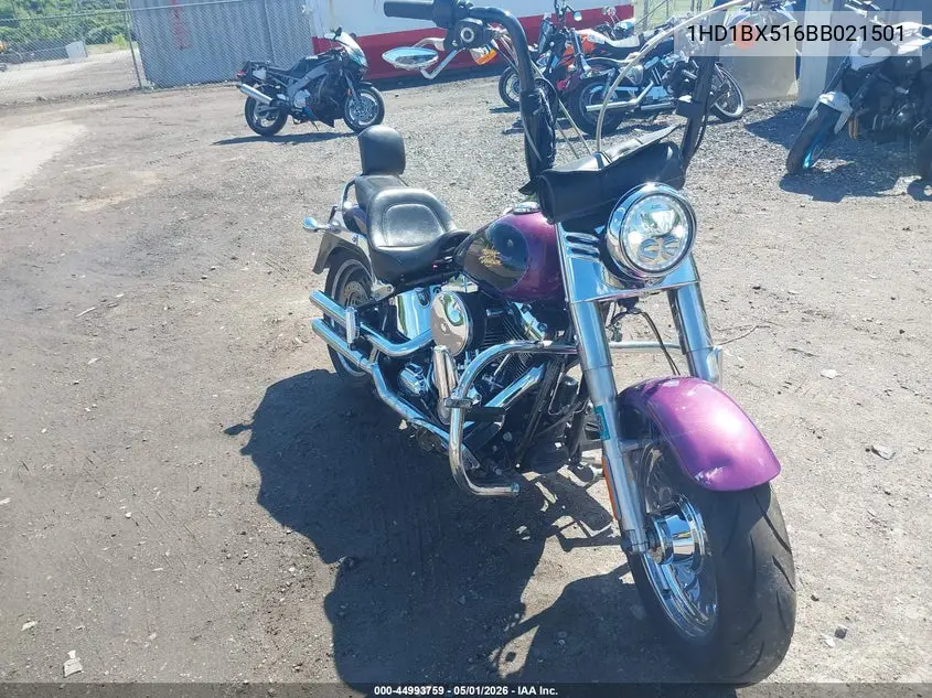 2011 Harley-Davidson Flstf VIN: 1HD1BX516BB021501 Lot: 44993759