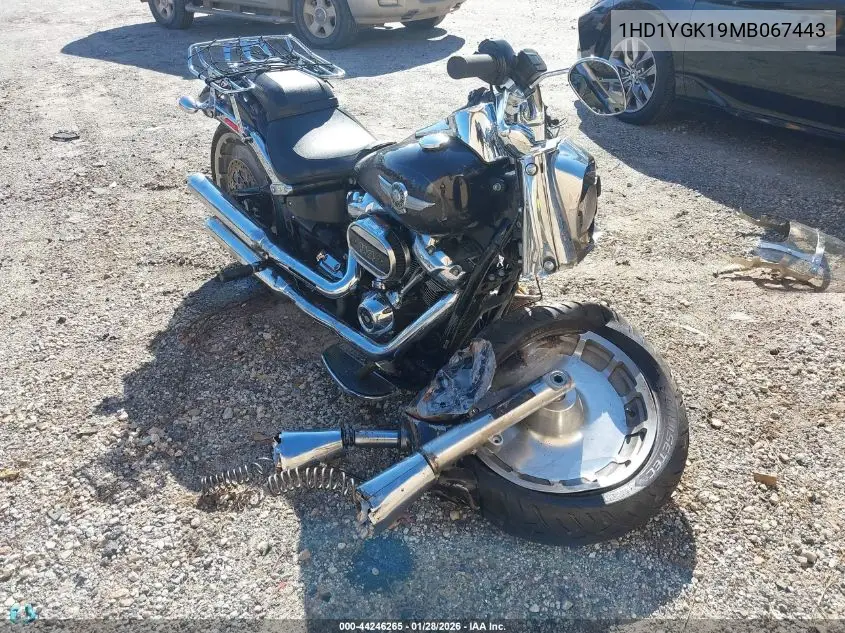 2021 Harley-Davidson Flfbs VIN: 1HD1YGK19MB067443 Lot: 44246265