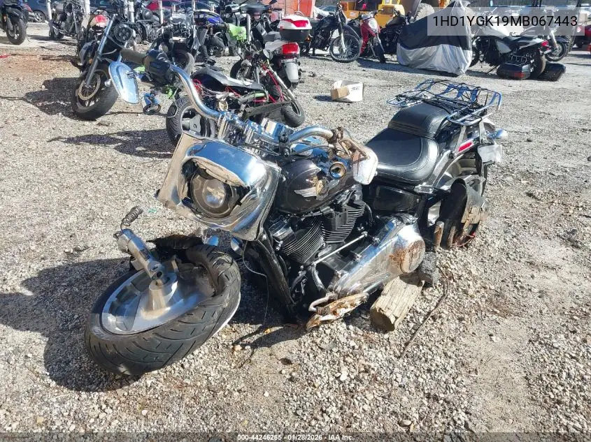 2021 Harley-Davidson Flfbs VIN: 1HD1YGK19MB067443 Lot: 44246265
