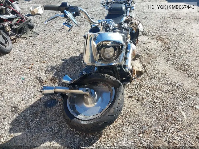 2021 Harley-Davidson Flfbs VIN: 1HD1YGK19MB067443 Lot: 44246265