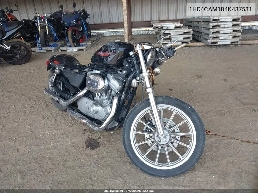 2004 Harley-Davidson Xl883 VIN: 1HD4CAM184K437531 Lot: 45668979