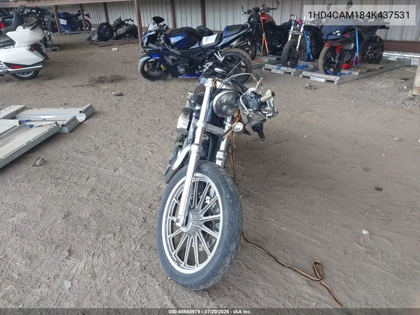 2004 Harley-Davidson Xl883 VIN: 1HD4CAM184K437531 Lot: 45668979