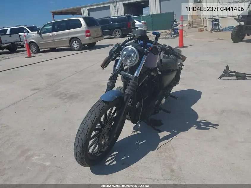2015 Harley-Davidson Xl883 Iron 883 VIN: 1HD4LE237FC441496 Lot: 45175993