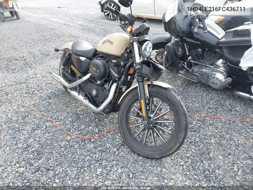 2015 Harley-Davidson Xl883 Iron 883 VIN: 1HD4LE216FC436711 Lot: 45397618