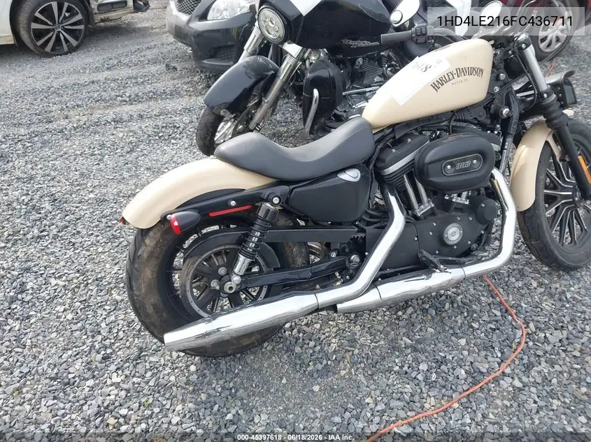 2015 Harley-Davidson Xl883 Iron 883 VIN: 1HD4LE216FC436711 Lot: 45397618