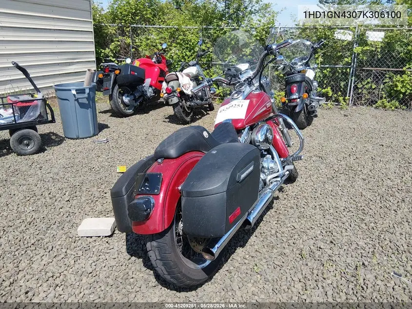 2007 Harley-Davidson Fxdl VIN: 1HD1GN4307K306100 Lot: 45209251