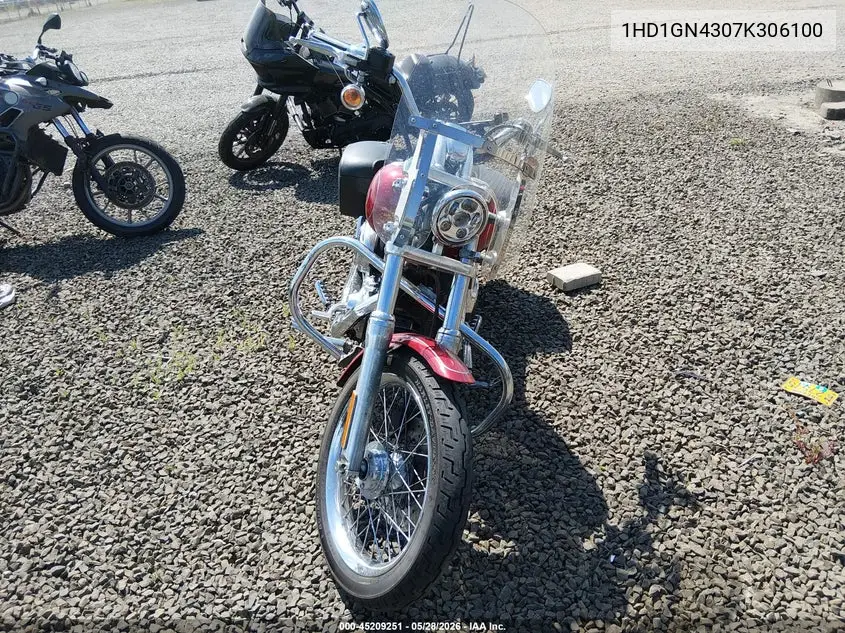 2007 Harley-Davidson Fxdl VIN: 1HD1GN4307K306100 Lot: 45209251
