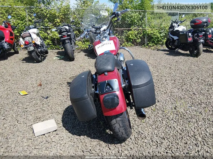 2007 Harley-Davidson Fxdl VIN: 1HD1GN4307K306100 Lot: 45209251