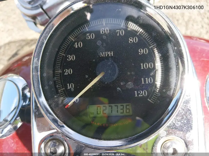 2007 Harley-Davidson Fxdl VIN: 1HD1GN4307K306100 Lot: 45209251