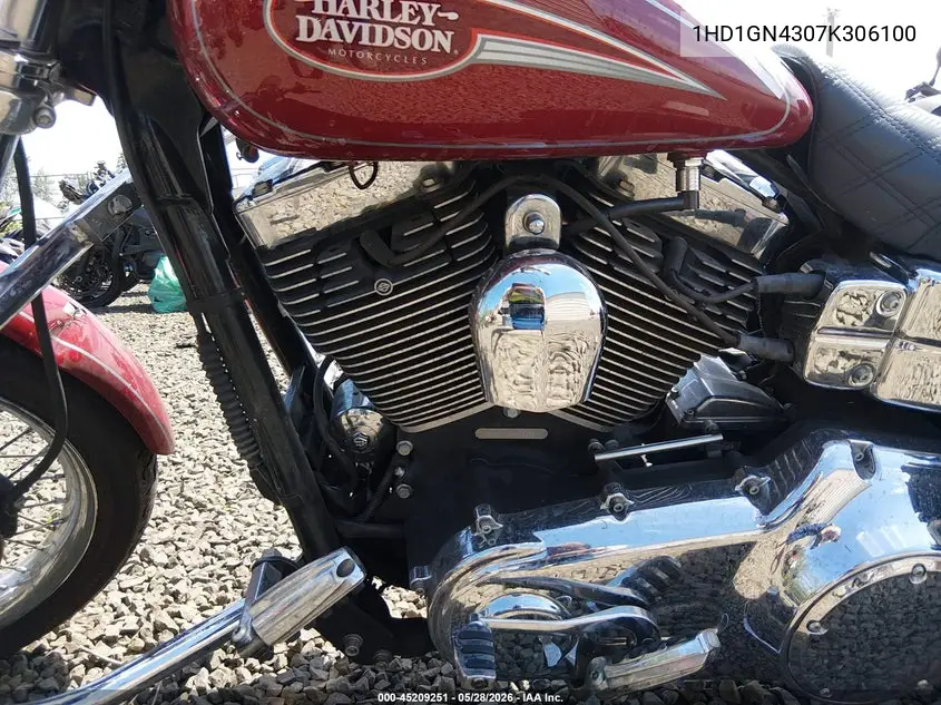 2007 Harley-Davidson Fxdl VIN: 1HD1GN4307K306100 Lot: 45209251