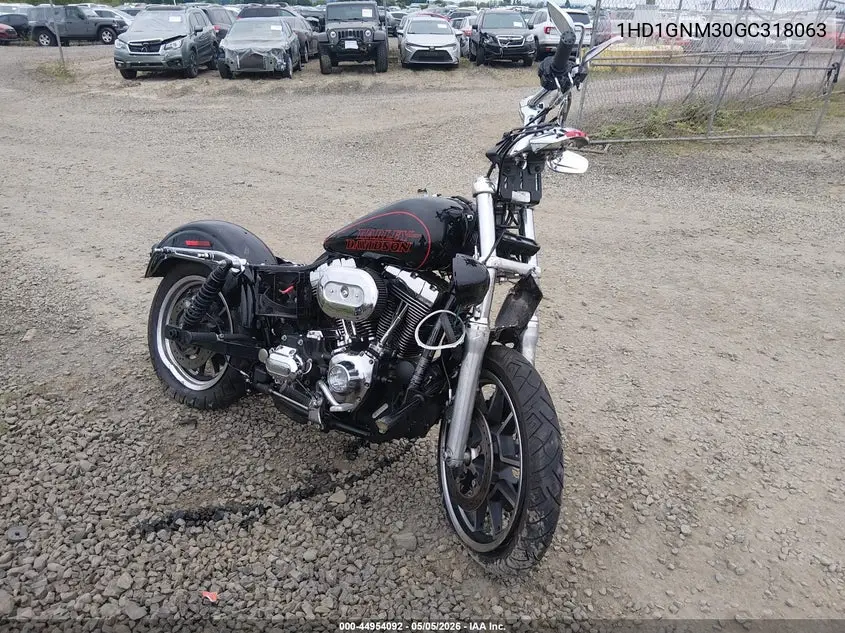 2016 Harley-Davidson Fxdl Dyna Low Rider VIN: 1HD1GNM30GC318063 Lot: 44954092