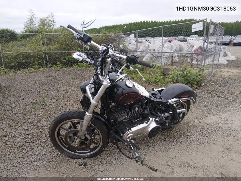 2016 Harley-Davidson Fxdl Dyna Low Rider VIN: 1HD1GNM30GC318063 Lot: 44954092