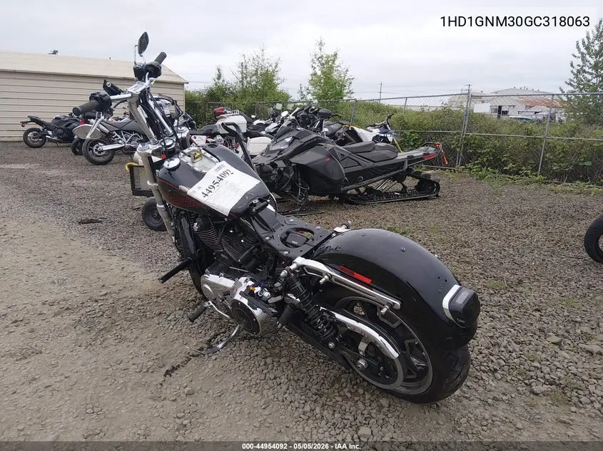 2016 Harley-Davidson Fxdl Dyna Low Rider VIN: 1HD1GNM30GC318063 Lot: 44954092