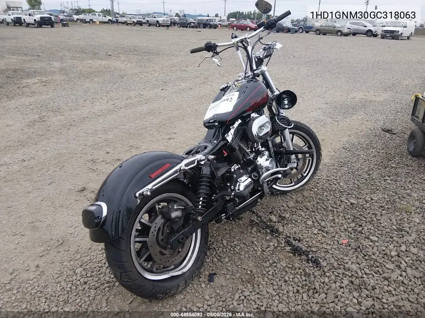 2016 Harley-Davidson Fxdl Dyna Low Rider VIN: 1HD1GNM30GC318063 Lot: 44954092