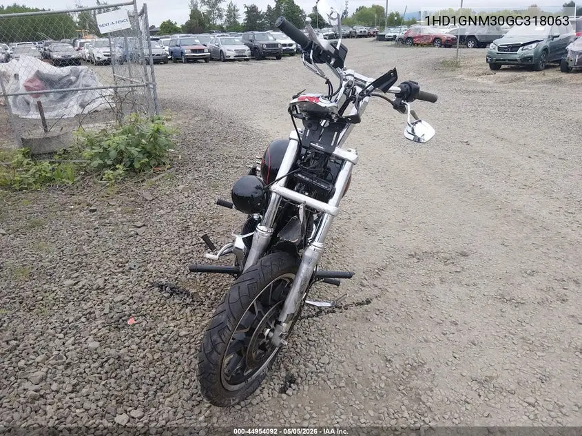 2016 Harley-Davidson Fxdl Dyna Low Rider VIN: 1HD1GNM30GC318063 Lot: 44954092