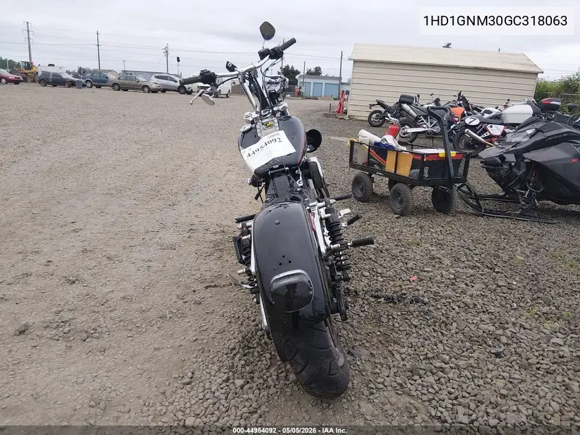 2016 Harley-Davidson Fxdl Dyna Low Rider VIN: 1HD1GNM30GC318063 Lot: 44954092