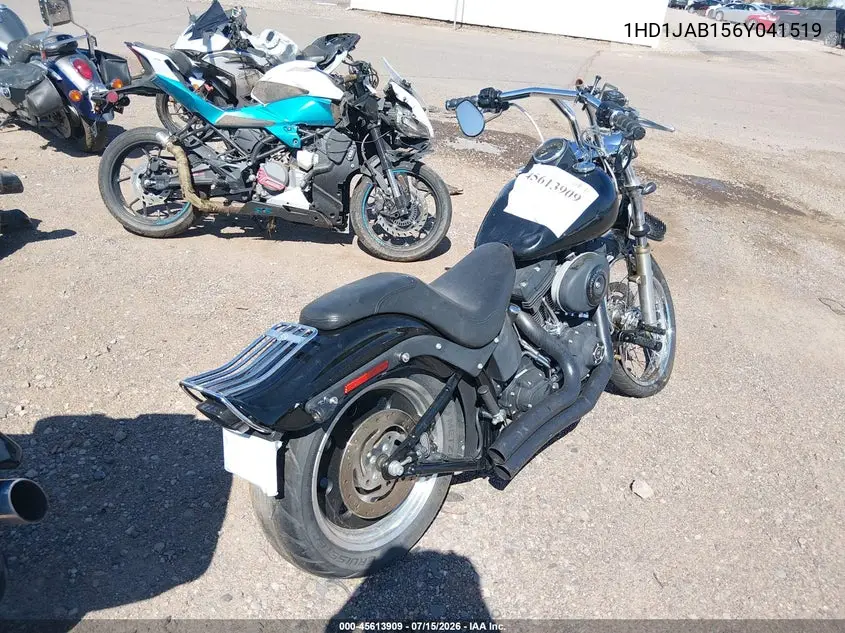 2006 Harley-Davidson Fxstbi VIN: 1HD1JAB156Y041519 Lot: 45613909