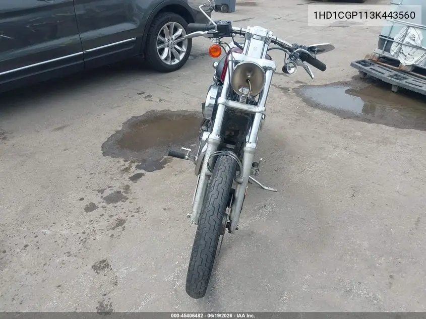 2003 Harley-Davidson Xl1200 C VIN: 1HD1CGP113K443560 Lot: 45406482